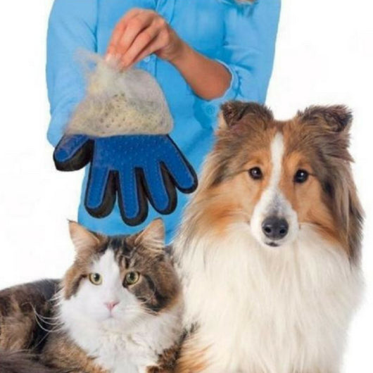 Pet Grooming and Deshedding Glove